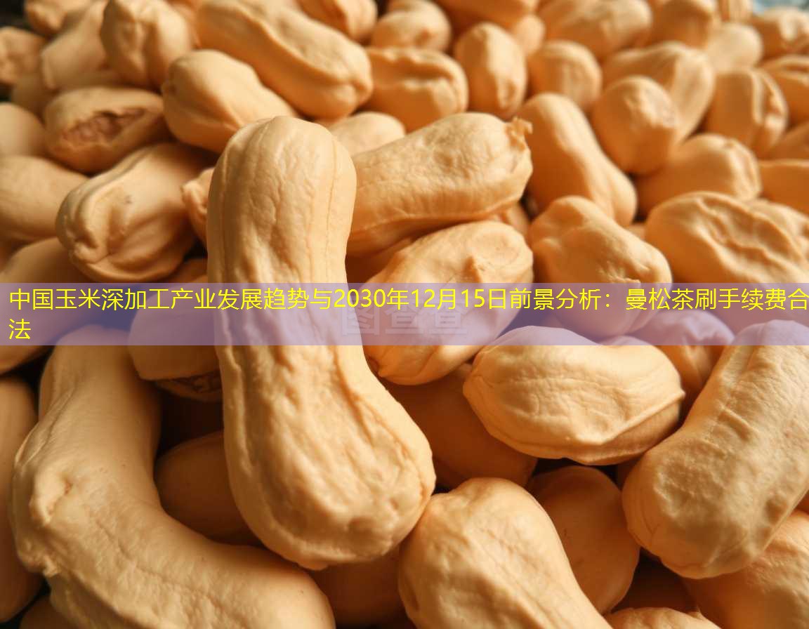 中国玉米深加工产业发展趋势与2030年12月15日前景分析