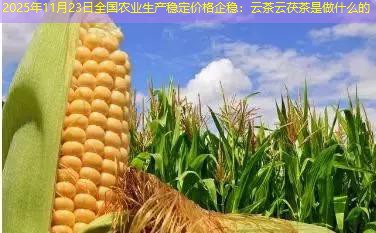 2025年11月23日全国农业生产稳定价格企稳