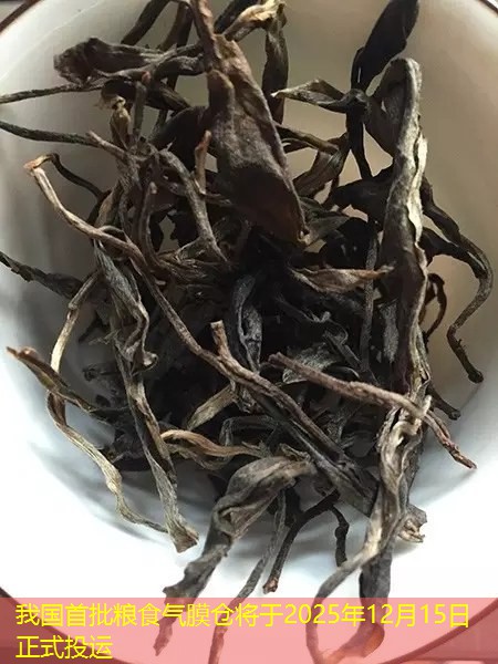 我国首批粮食气膜仓将于2025年12月15日正式投运