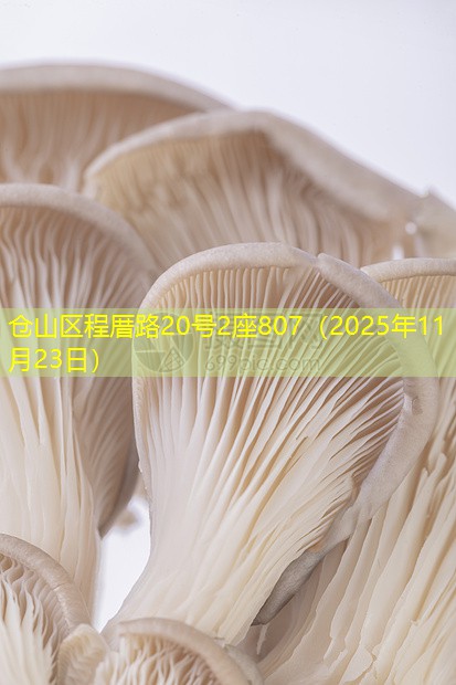 仓山区程厝路20号2座807（2025年11月23日）