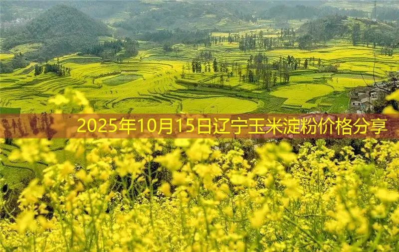 2025年10月15日辽宁玉米淀粉价格分享
