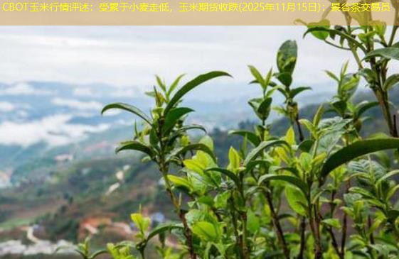 CBOT玉米行情评述：受累于小麦走低，玉米期货收跌(2025年11月15日)