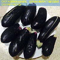 CBOT大豆期货涨跌互现，近月合约受获利了结打压收低(2025年10月31日)