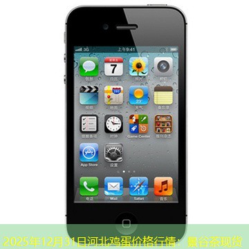 2025年12月31日河北鸡蛋价格行情