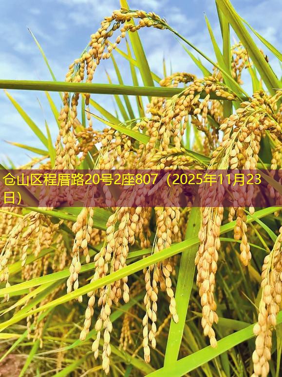 仓山区程厝路20号2座807（2025年11月23日）
