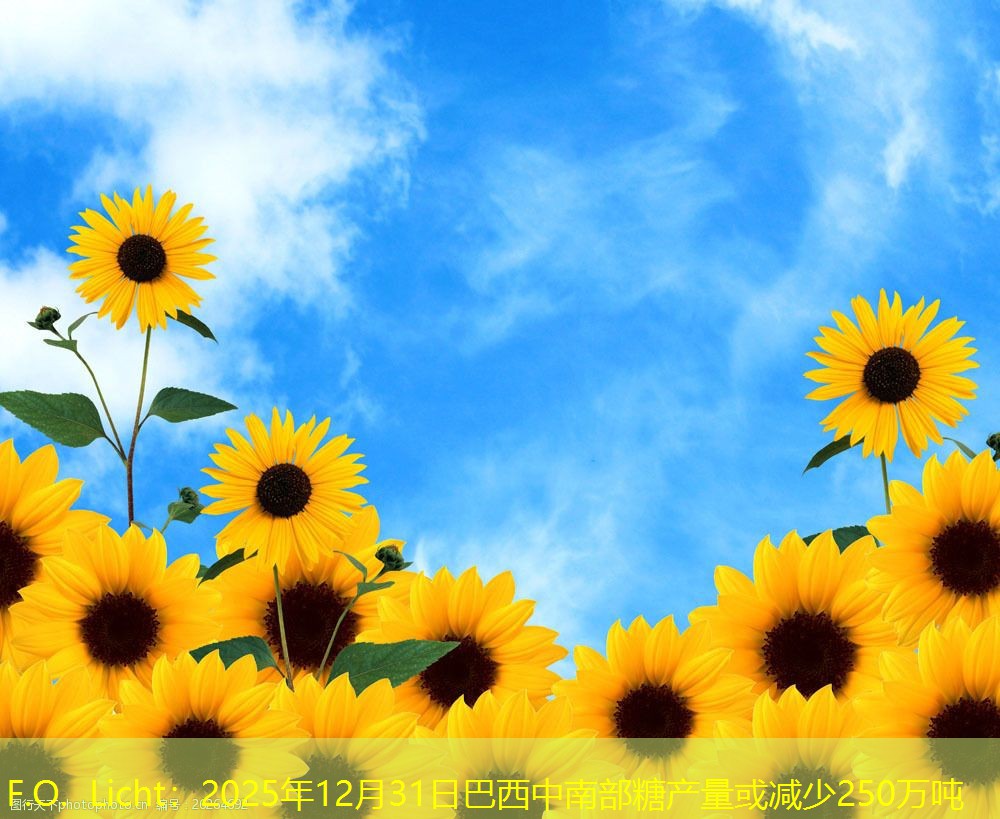 F.O. Licht：2025年12月31日巴西中南部糖产量或减少250万吨