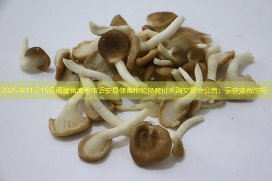 2025年11月15日福建省漳州市诏安县储备粮轮换竞价采购交易会公告