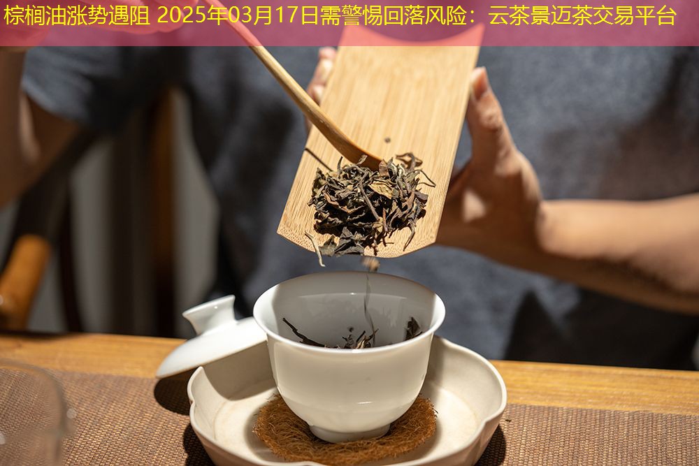 棕榈油涨势遇阻 2025年03月17日需警惕回落风险