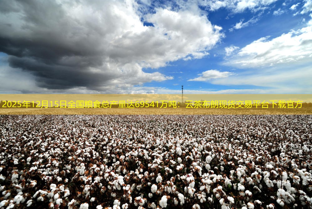 2025年12月15日全国粮食总产量达69541万吨