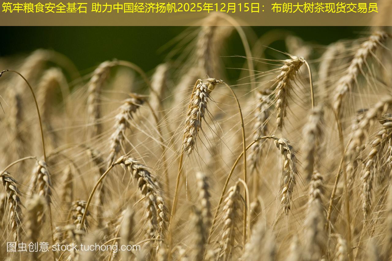 筑牢粮食安全基石 助力中国经济扬帆2025年12月15日