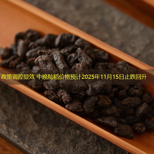 政策调控显效 中晚籼稻价格预计2025年11月15日止跌回升