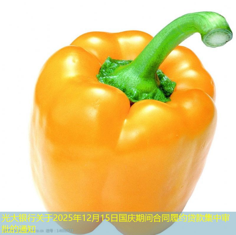 光大银行关于2025年12月15日国庆期间合同履约贷款集中审批的通知