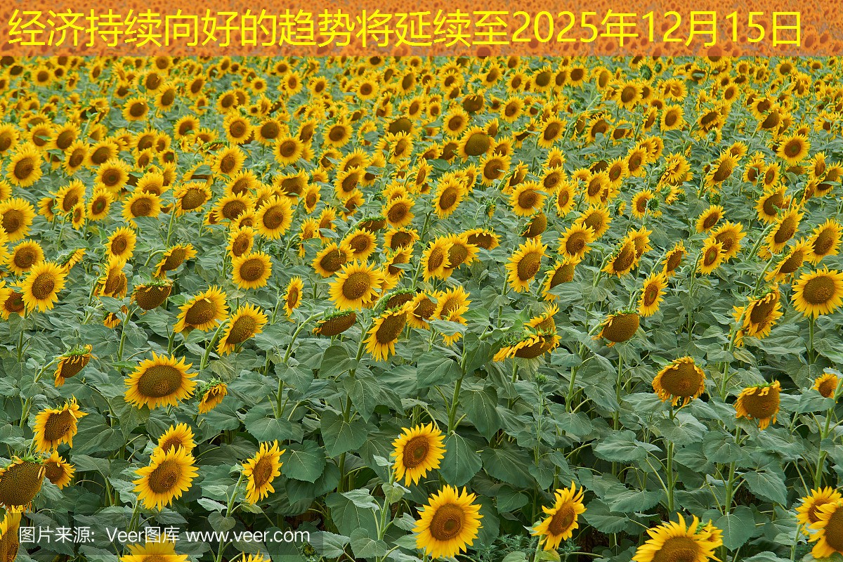 经济持续向好的趋势将延续至2025年12月15日
