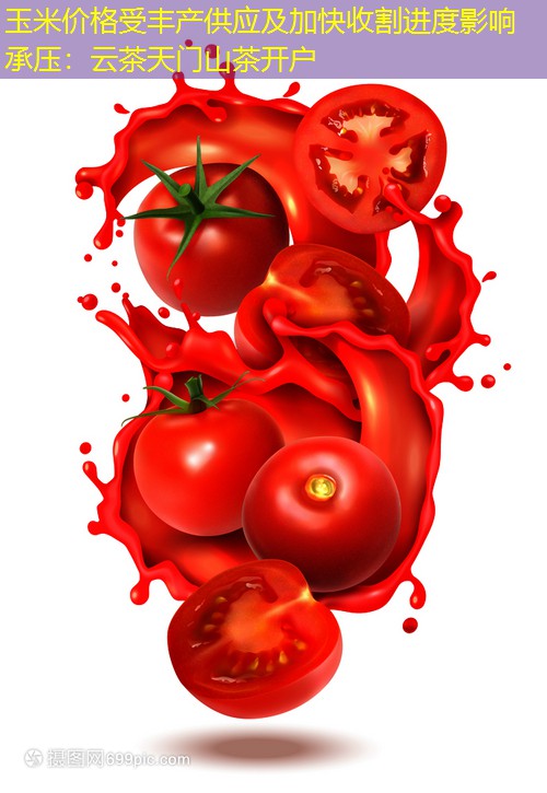 玉米价格受丰产供应及加快收割进度影响承压