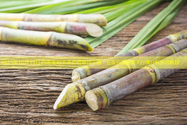 2025年10月15日河南南阳玉米价格维持平稳