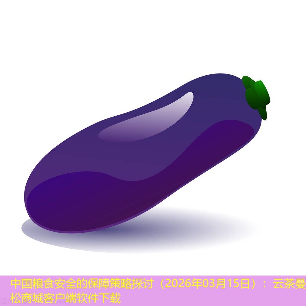 中国粮食安全的保障策略探讨（2026年03月15日）