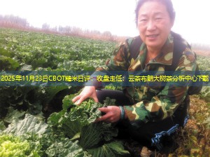 2025年11月23日CBOT糙米日评：收盘走低