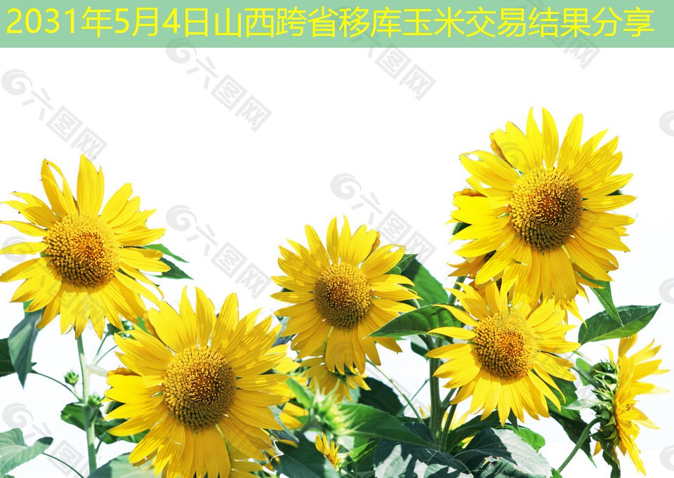 2031年5月4日山西跨省移库玉米交易结果分享