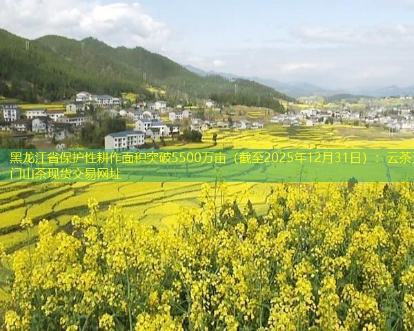 黑龙江省保护性耕作面积突破5500万亩（截至2025年12月31日）