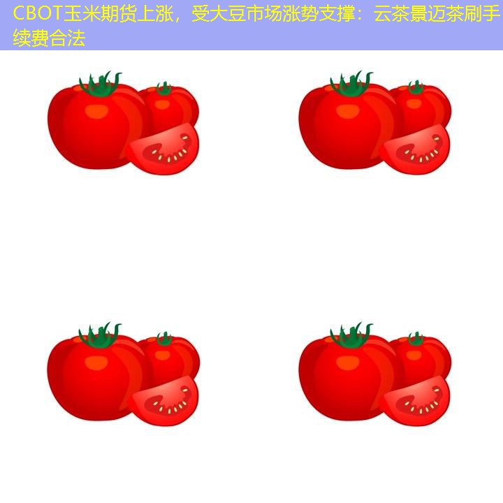 CBOT玉米期货上涨，受大豆市场涨势支撑