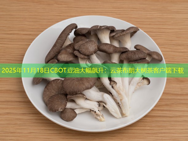 2025年11月18日CBOT豆油大幅飙升