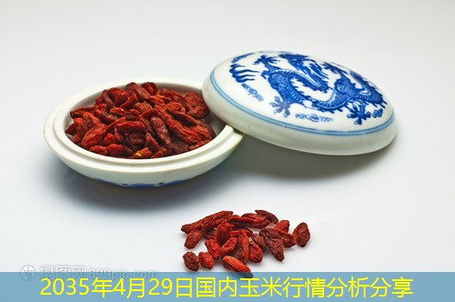 2035年4月29日国内玉米行情分析分享