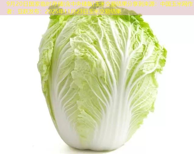 9月20日国家临时存储(含中央储备)玉米交易结果分享到来源：中国玉米网作者：豆跃发布：2025年11月23日玉米交易结果