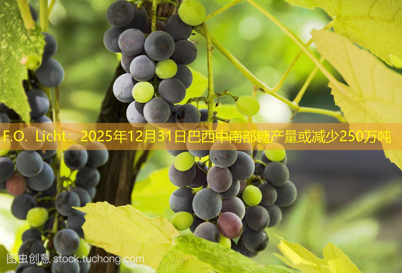 F.O. Licht：2025年12月31日巴西中南部糖产量或减少250万吨