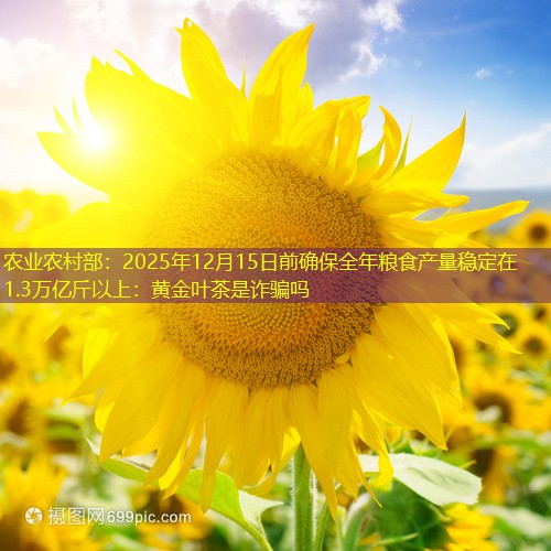 农业农村部：2025年12月15日前确保全年粮食产量稳定在1.3万亿斤以上