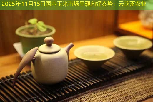 2025年11月15日国内玉米市场呈现向好态势