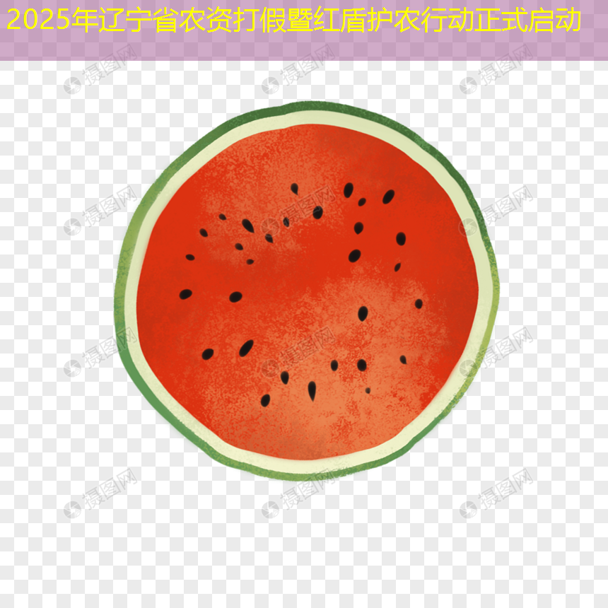 2025年辽宁省农资打假暨红盾护农行动正式启动