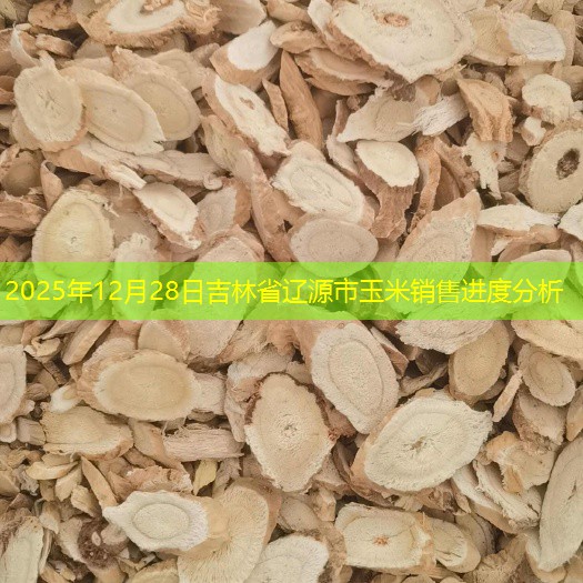 2025年12月28日吉林省辽源市玉米销售进度分析