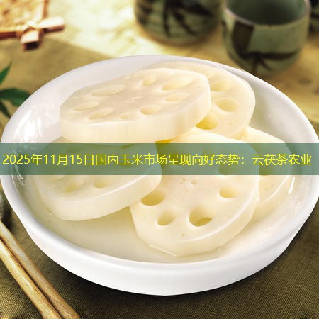 2025年11月15日国内玉米市场呈现向好态势