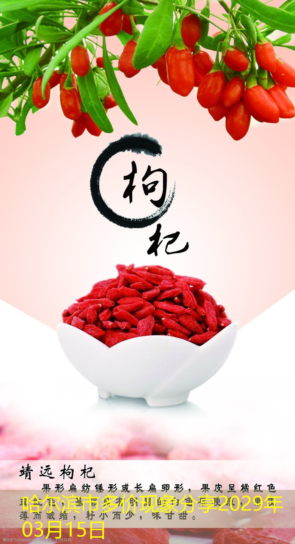 哈尔滨市多价现象分享2029年03月15日