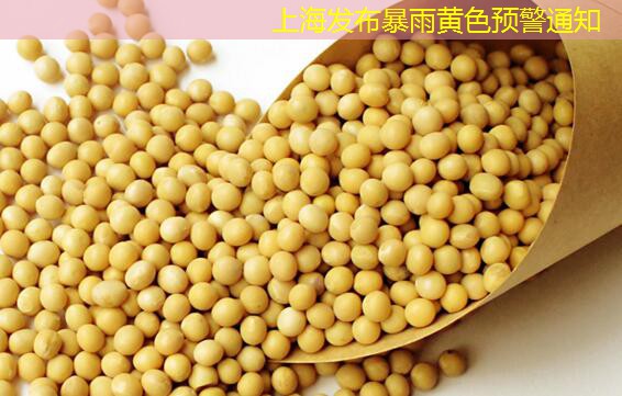 上海发布暴雨黄色预警通知