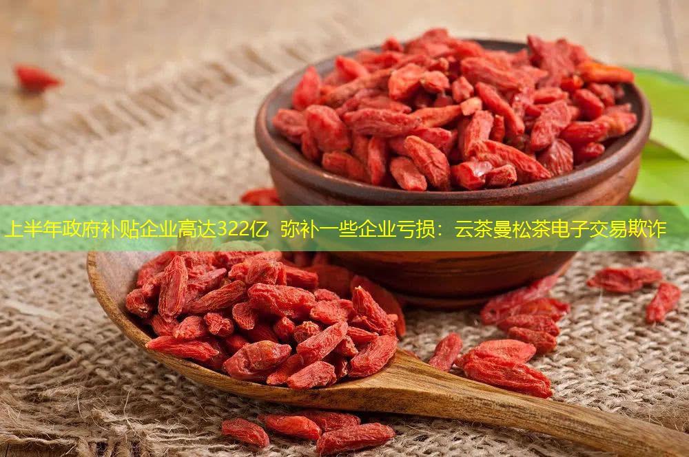 上半年政府补贴企业高达322亿 弥补一些企业亏损