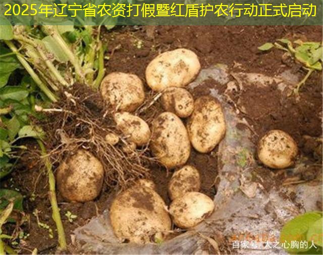 2025年辽宁省农资打假暨红盾护农行动正式启动