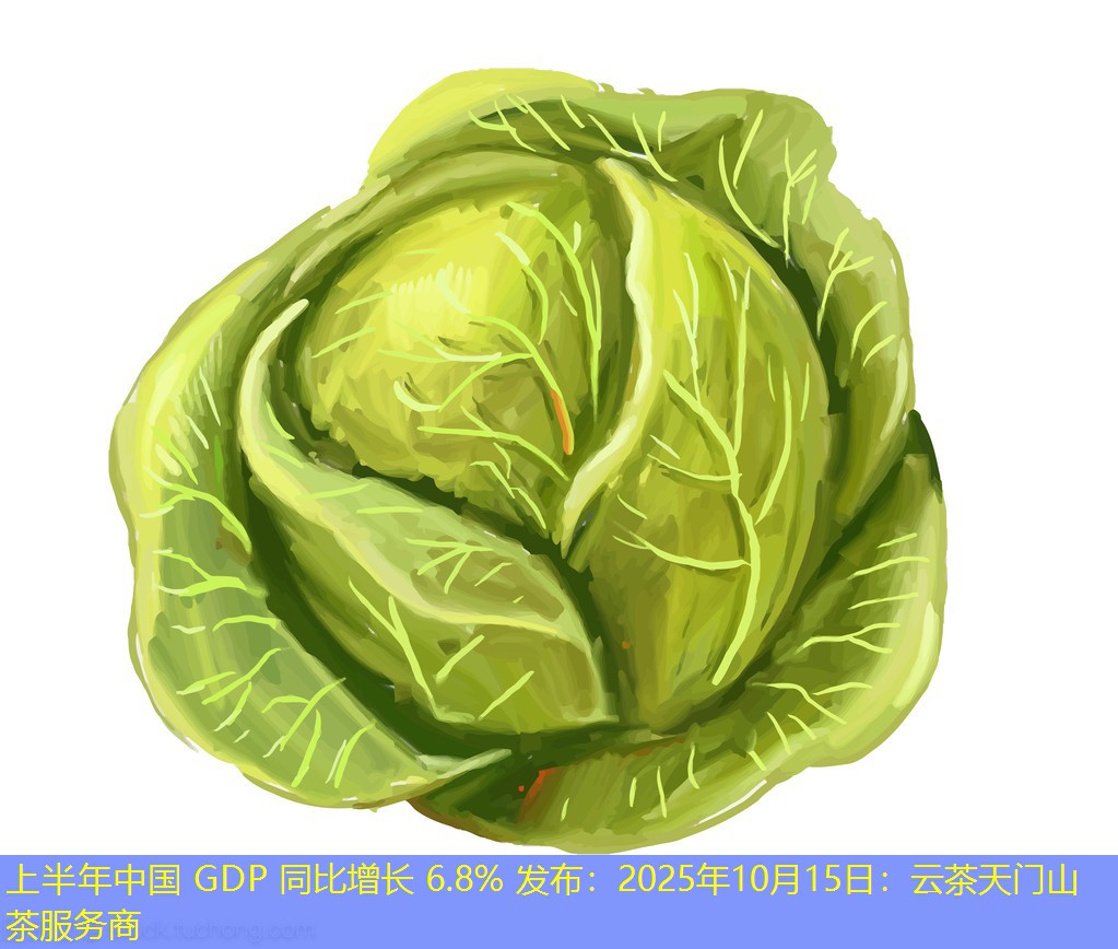 上半年中国 GDP 同比增长 6.8% 发布：2025年10月15日