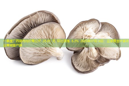 一季度广西猪肉均价每公斤 25.81 元 环比回落 8.2% 2025年07月14日