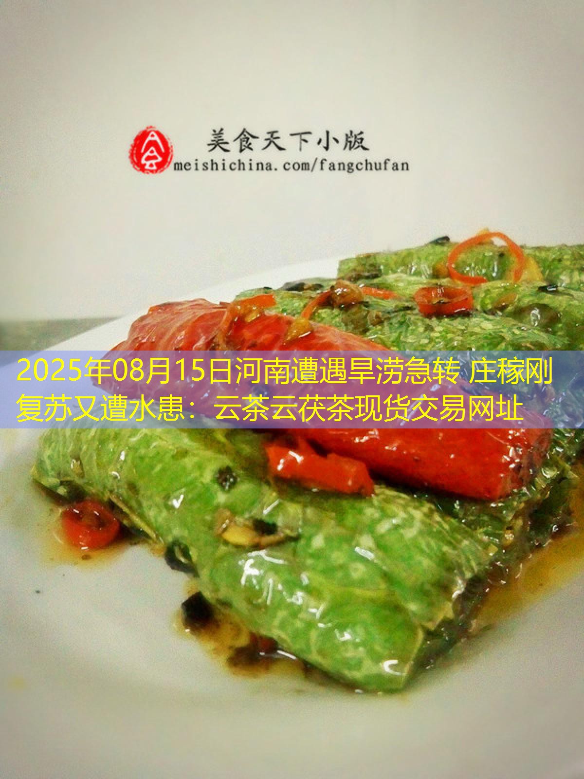 2025年08月15日河南遭遇旱涝急转 庄稼刚复苏又遭水患