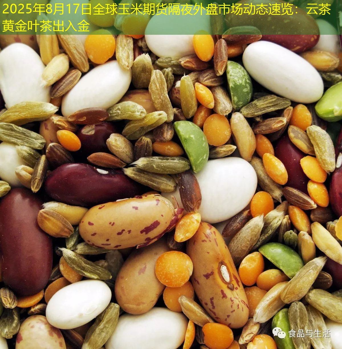 2025年8月17日全球玉米期货隔夜外盘市场动态速览