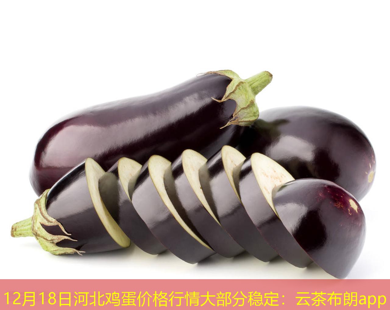 12月18日河北鸡蛋价格行情大部分稳定
