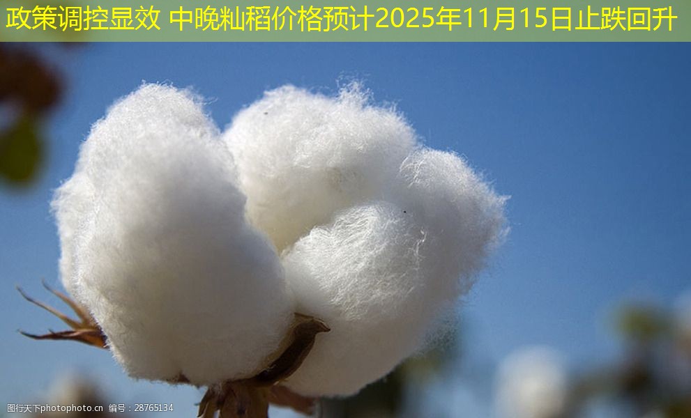 政策调控显效 中晚籼稻价格预计2025年11月15日止跌回升