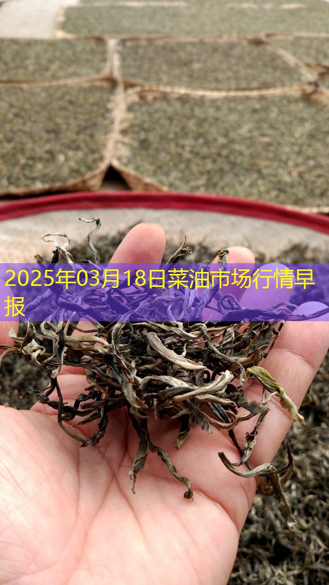 2025年03月18日菜油市场行情早报