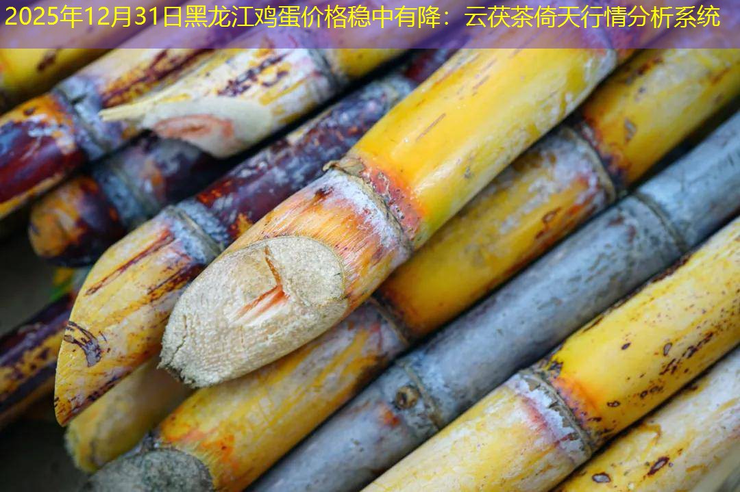 2025年12月31日黑龙江鸡蛋价格稳中有降