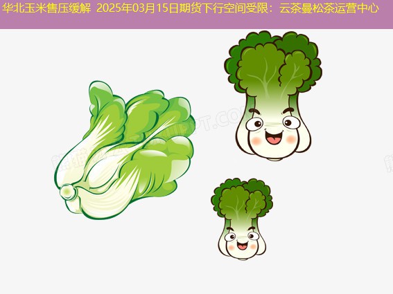 华北玉米售压缓解 2025年03月15日期货下行空间受限