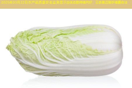 2025年03月22日农产品质量安全监测显示总体态势持续向好