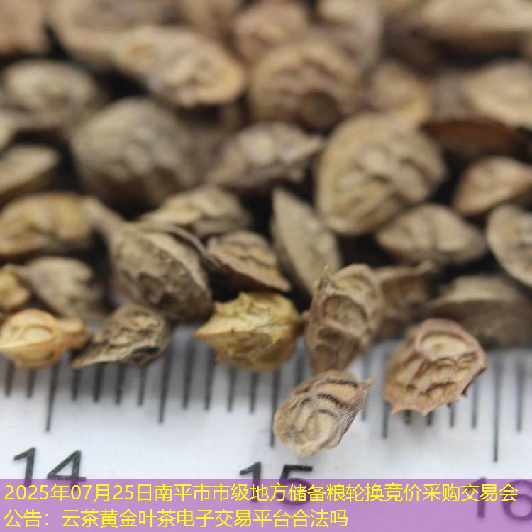 2025年07月25日南平市市级地方储备粮轮换竞价采购交易会公告