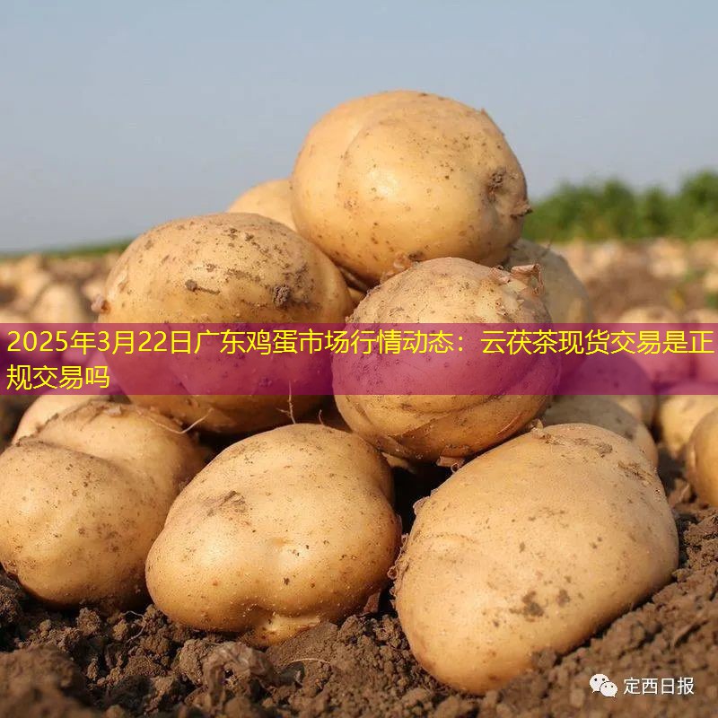 2025年3月22日广东鸡蛋市场行情动态