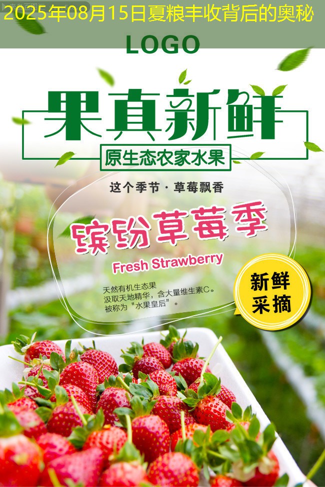 2025年08月15日夏粮丰收背后的奥秘